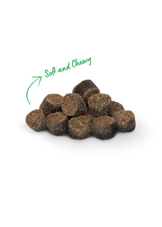 Be Good Bites Chicken Treats