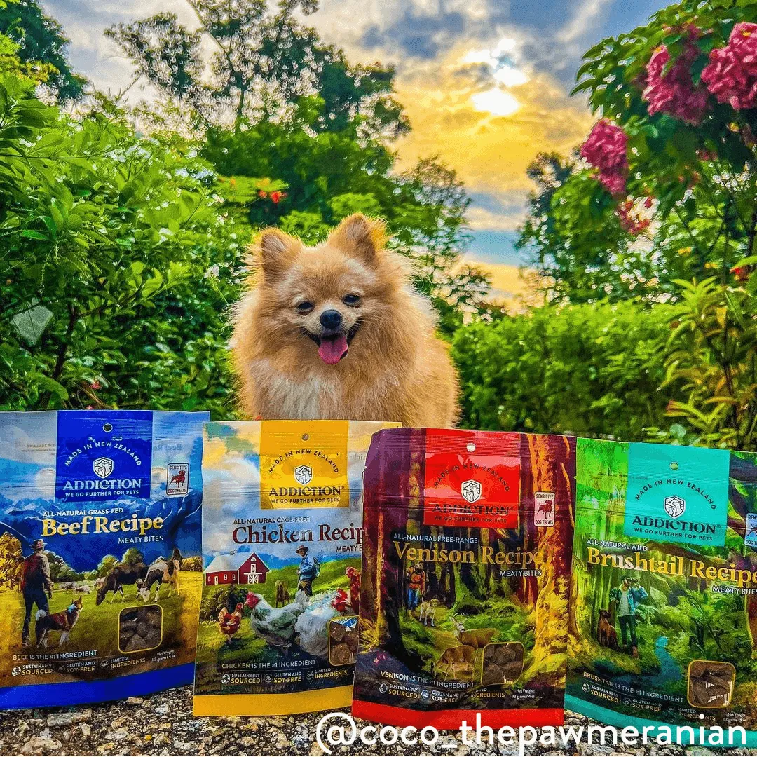 Beef Meaty Bites - Hypoallergenic Dog Treats