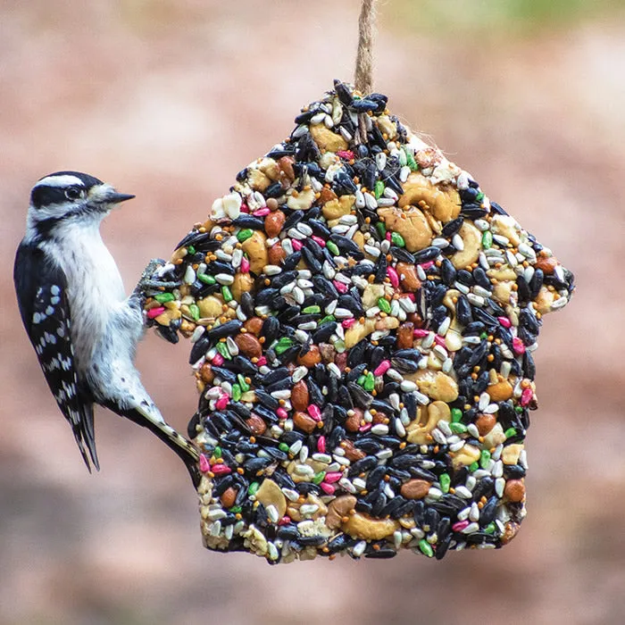 Birdie Chalet Seed Block