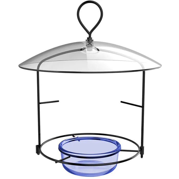 Bluebird Buffet