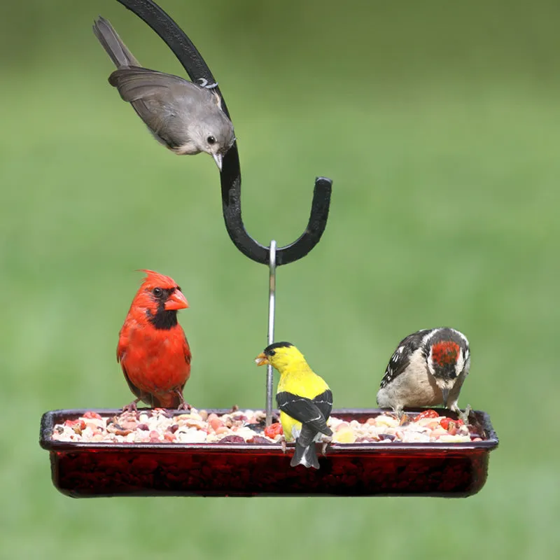 Cardinal Platform Feeder