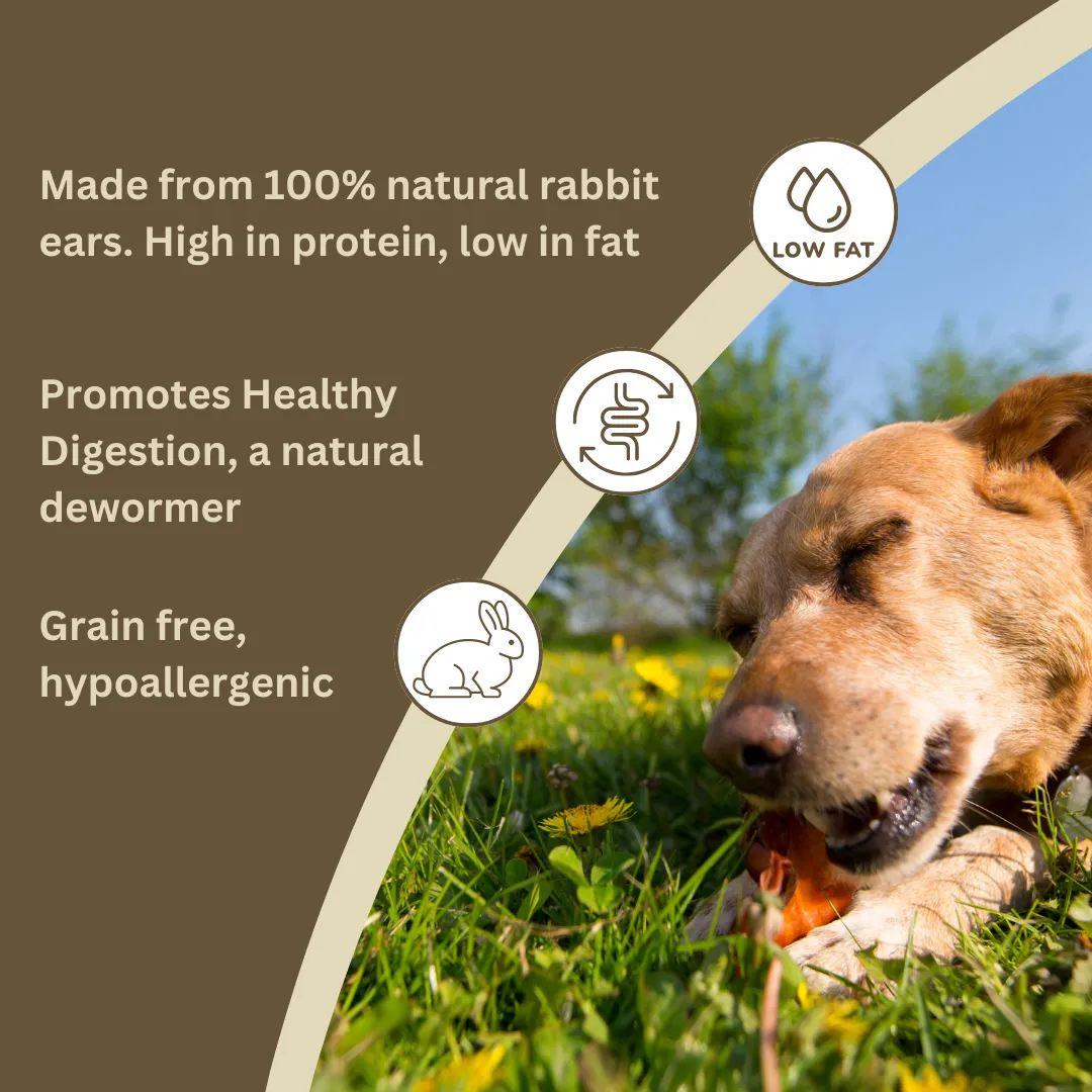 Furry Rabbit Ears Dog Treats