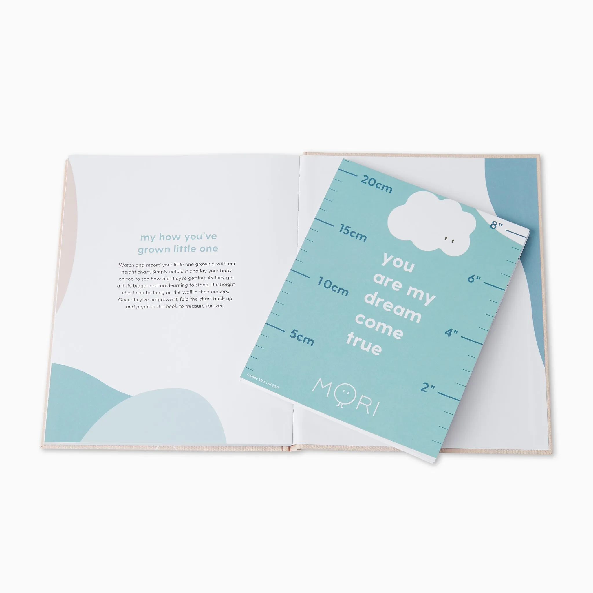 Hello Baby Book