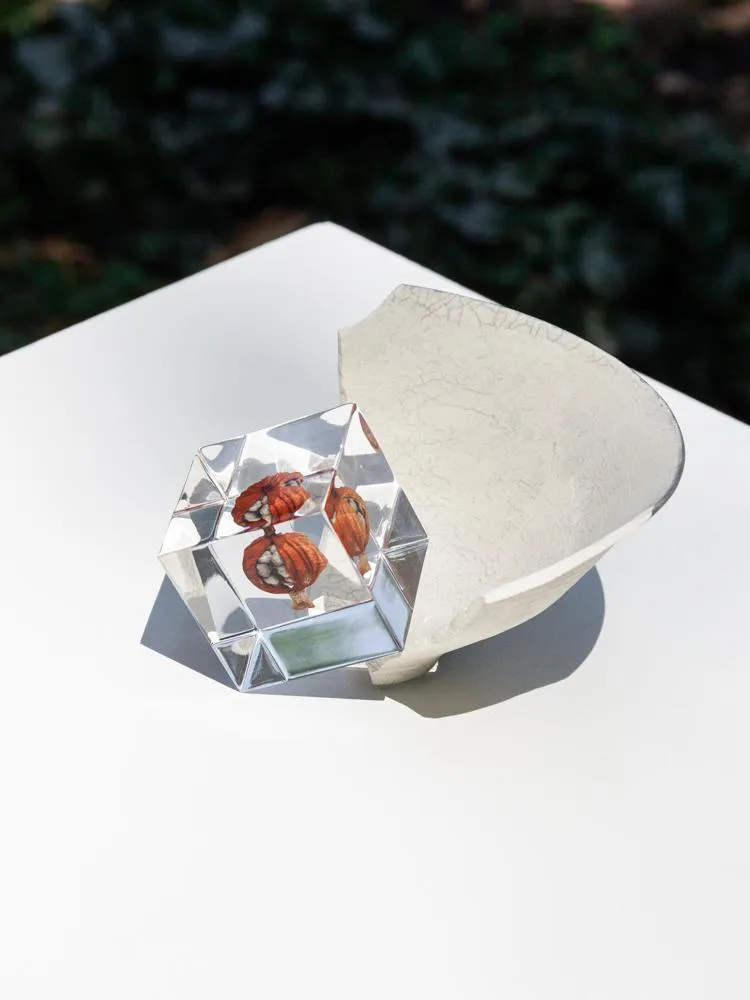 Sola Cube - Shell Ginger (Gettou)
