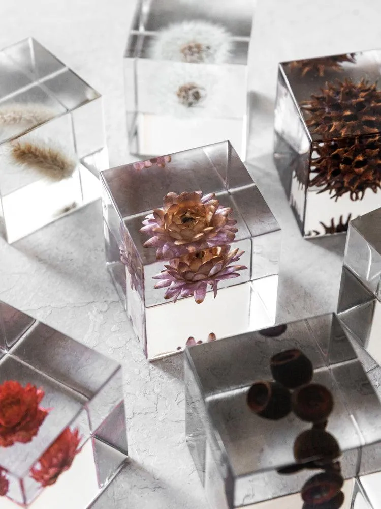 Sola Cube - Shell Ginger (Gettou)